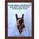 PLAINS INDIAN & MOUNTAIN-MAN ARTS & CRAFTS II: An Illustrated Guide