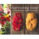 HARVESTING COLOR; How To Find Plants and Make Natural Dyes